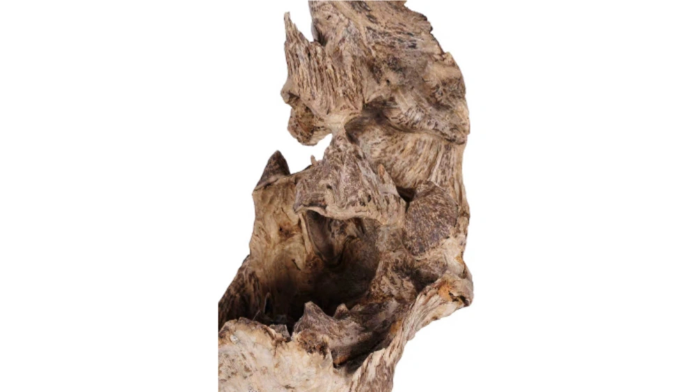 Agarwood Processing Business
